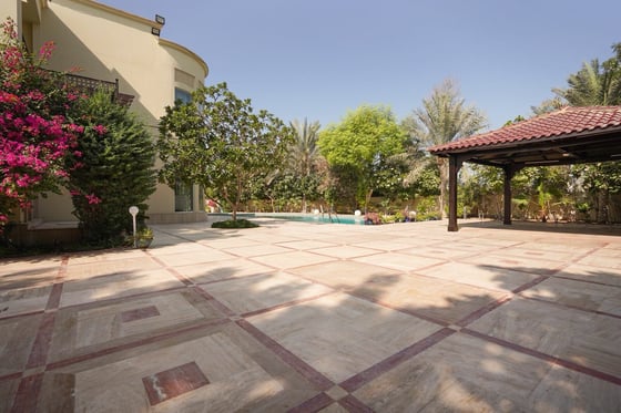 Renovation Opportunity | Large Plot |Great Investment, picture 12