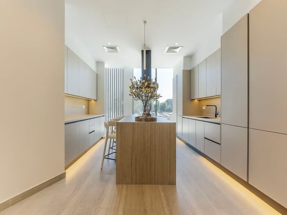 Luxury  |  Middle  Unit  |  Private  Pool, picture 1