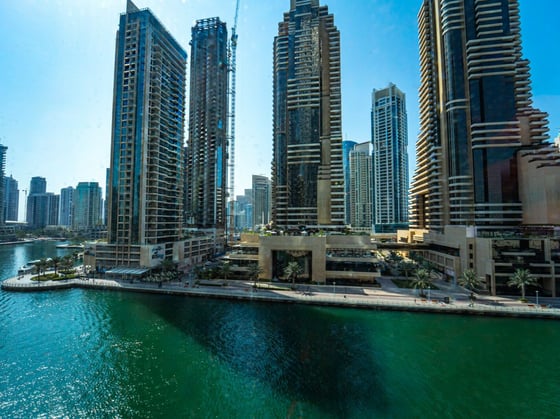 Vacant | Iconic Tower | Sea and Ain View, picture 15