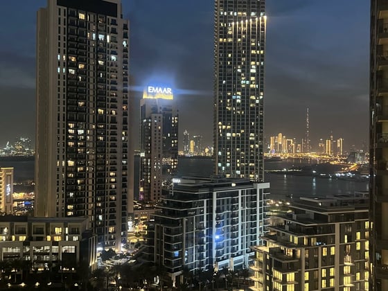 Full Park | Burj Khalifa View | Largest Layout, picture 3