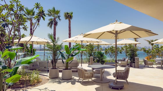 Exclusive | Full Palm View | High Floor., picture 25
