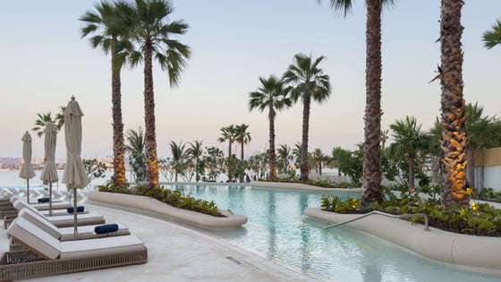 Exclusive | Full Palm View | High Floor., picture 19