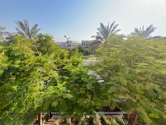 Stunning Views |  Investment Opportunity, picture 14