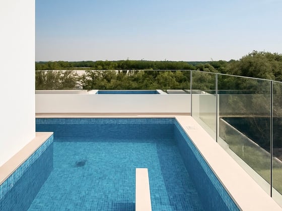 Single Row  |  Lagoon View  |  Private Pool, picture 17