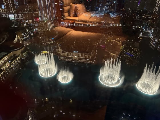 Unique Custom Interior | Panoramic Fountain view, picture 2