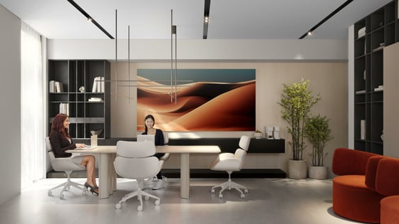 European Appliances and Furnishings | High ROI, picture 4