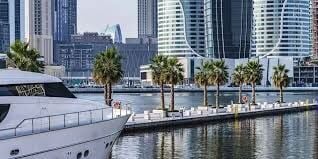 Rare Huge Layout | Landmark and Water Views, picture 10