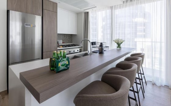 Bills Included | Furnished | Skyline Views, picture 7