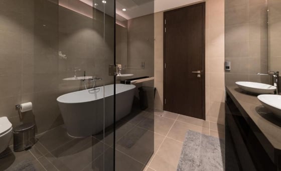Bills Included | Furnished | Skyline Views, picture 11