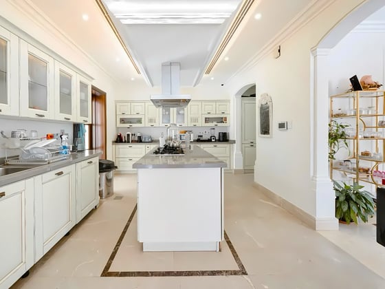 Elegant  |  Luxury  Villa  |  Huge  Plot, picture 6