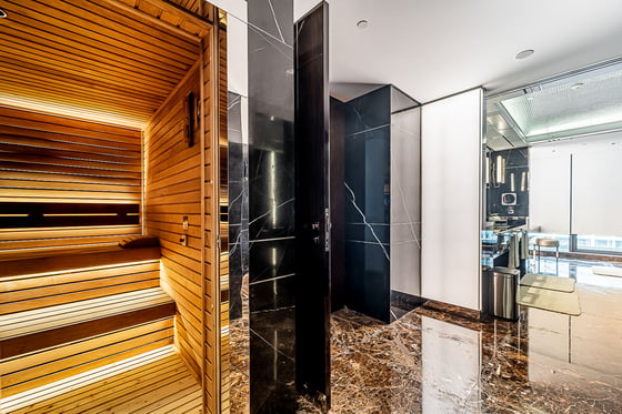 Exclusive | Royal Penthouse | Seven Balconies, picture 16