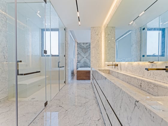 Vacant and Extended Ultra-Luxury Palm Villa, picture 12
