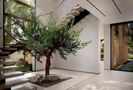 3 Bed | Spacious Living Room | Private Garden, picture 3
