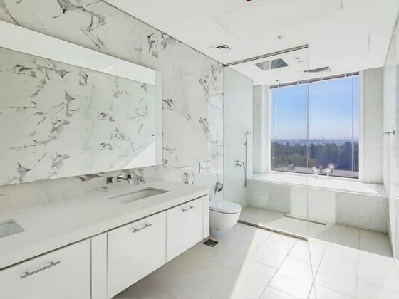 Premium Finishing | Community View | Large Terrace, picture 14