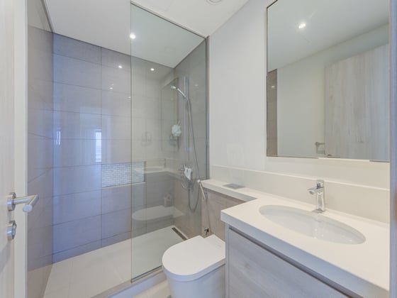 Penthouse | Vacant | Future Creek Tower Views, picture 12