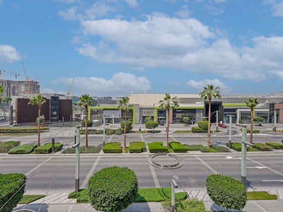 Boulevard View | Vacant on Transfer | Negotiable, picture 16