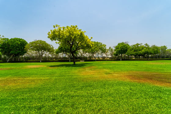 Type 4M | Private Plot | Near Park | VOT, picture 9