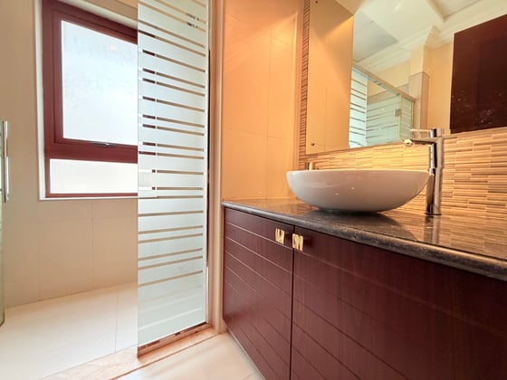 Exclusive | Lake View | Vacant on Transfer, picture 22