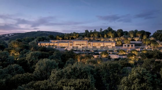 The villa does not sit on the landscape — it emerges from it, picture 21