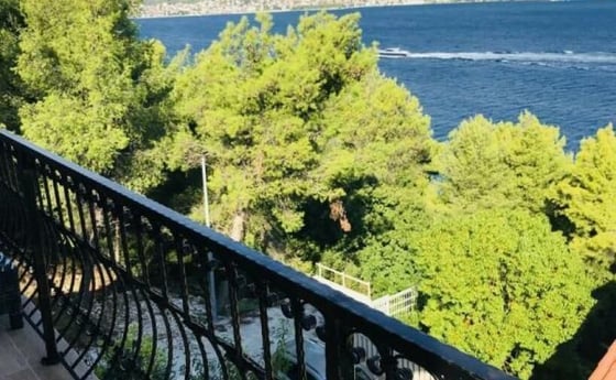 Saint-Jean-Cap-Ferrat style beachfront gorgeous villa with p, picture 17
