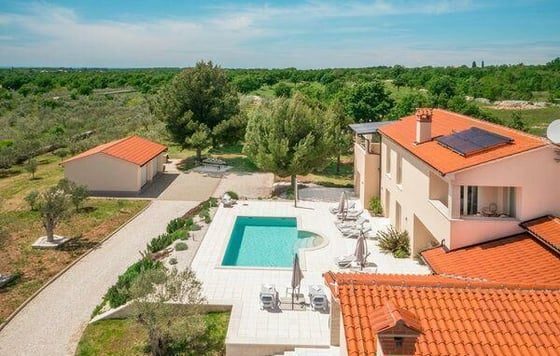 Beautiful luxury villa with olive grove of 5800 sq.m. in Vod, picture 2