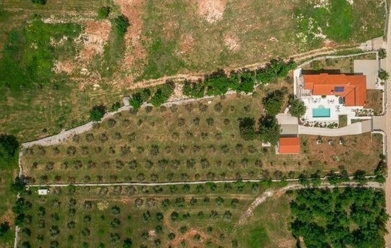 Beautiful luxury villa with olive grove of 5800 sq.m. in Vod, picture 3