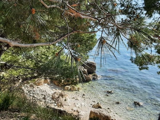 Modern new villa in Rovinj, mere 200 meters from the beach,, picture 19