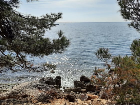 Modern new villa in Rovinj, mere 200 meters from the beach,, picture 17
