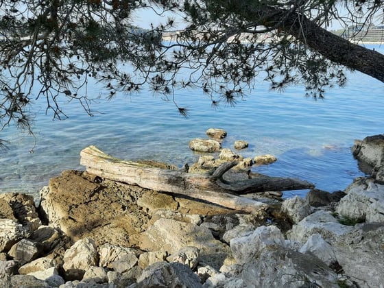 Modern new villa in Rovinj, mere 200 meters from the beach,, picture 24