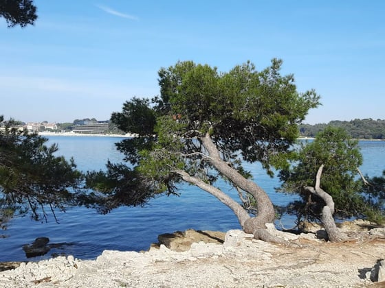 Modern new villa in Rovinj, mere 200 meters from the beach,, picture 23