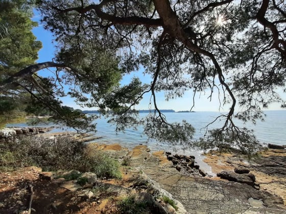 Modern new villa in Rovinj, mere 200 meters from the beach,, picture 14