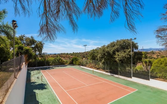 An exceptional opportunity to own a distinguished mansion, picture 7