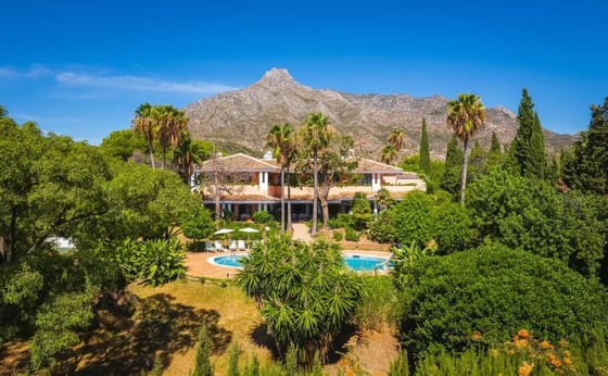 An exceptional opportunity to own a distinguished mansion, picture 2