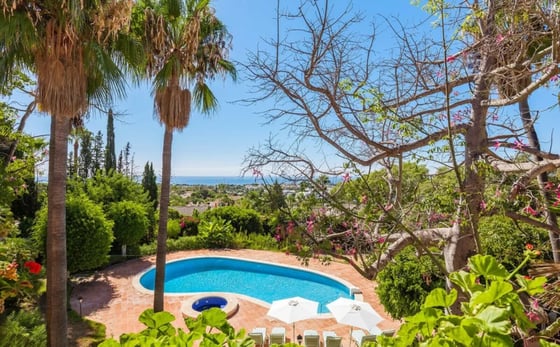 An exceptional opportunity to own a distinguished mansion, picture 6