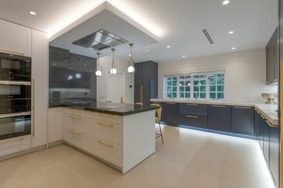 Luxury Beachfront Estate Frontline Puerto Banús Picasso Pool, picture 10