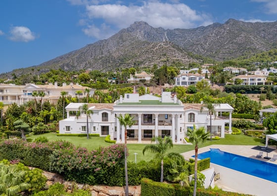 An exceptional palatial estate currently on the market, picture 14