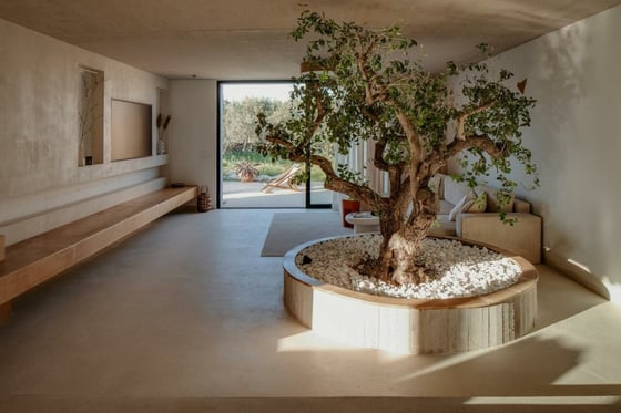 Magnificent stylish villa on Solta island, for sale, picture 20