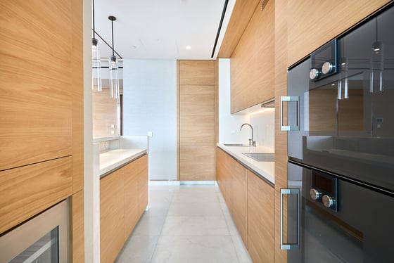 Fully Furnished | Ready to Move In | Palm Views, picture 10