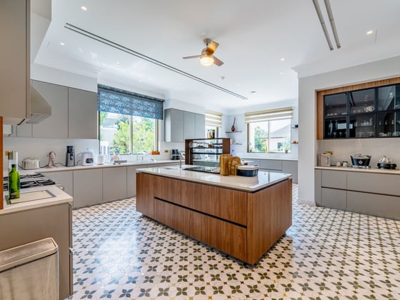 Ultra-Luxurious Al Barari Mansion with Rare Amenities, picture 18