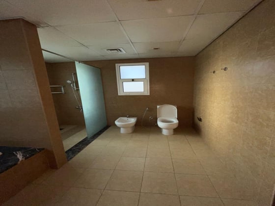Available June | Pool | Outhouse | Study Room, picture 11