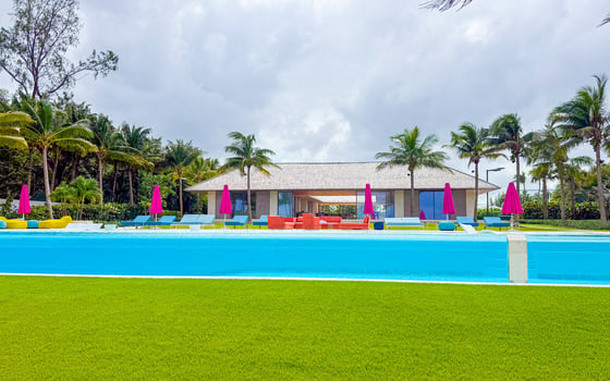 Paradise Found, picture 6