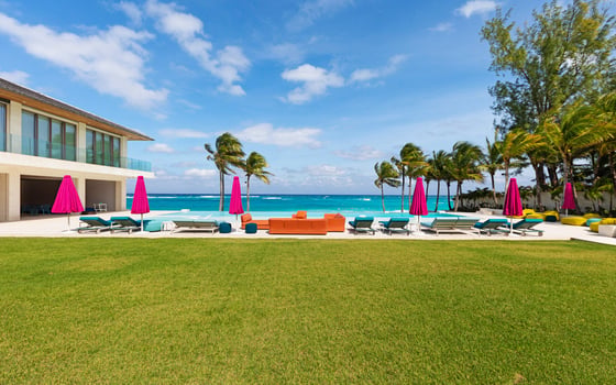 Paradise Found, picture 5