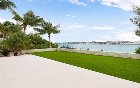 Paradise Found, picture 65