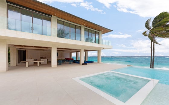 Paradise Found, picture 78
