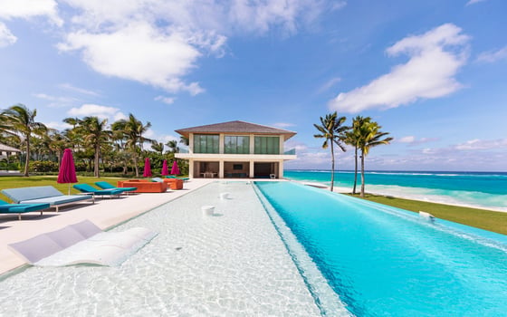 Paradise Found, picture 3