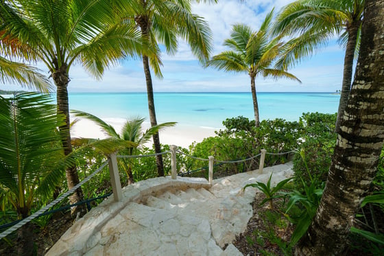Jungle Cove, Iconic Beachfront Estate, picture 74