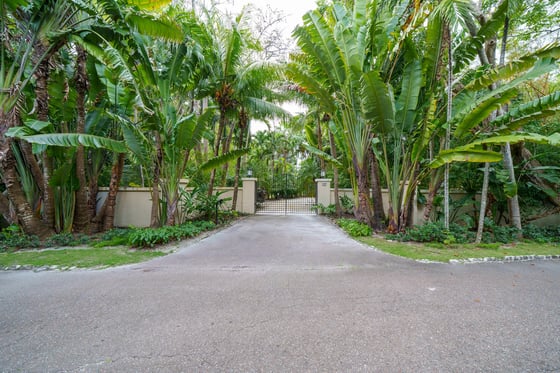 Jungle Cove, Iconic Beachfront Estate, picture 8