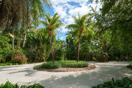 Jungle Cove, Iconic Beachfront Estate, picture 62