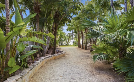 Kilkee House - Legendary Ocean-to-Harbour Estate - MLS 66413, picture 15