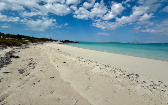 Leaf Cay, Private Island - MLS 66142, picture 6